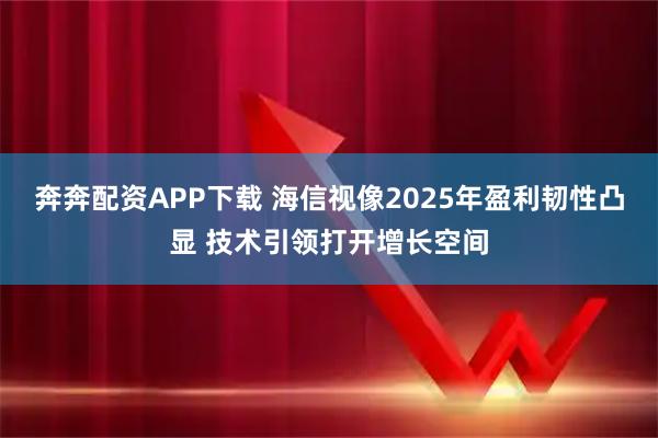 奔奔配资APP下载 海信视像2025年盈利韧性凸显 技术引领打开增长空间